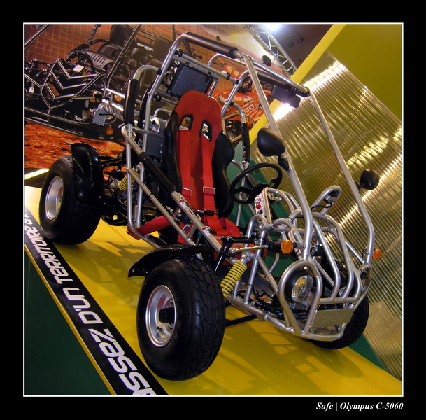 2004 - 10 - Buggy.JPG.jpg
